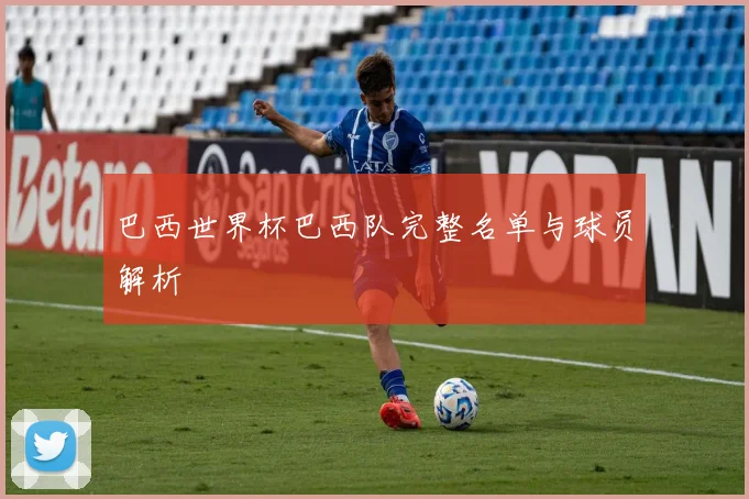巴西世界杯巴西队完整名单与球员解析