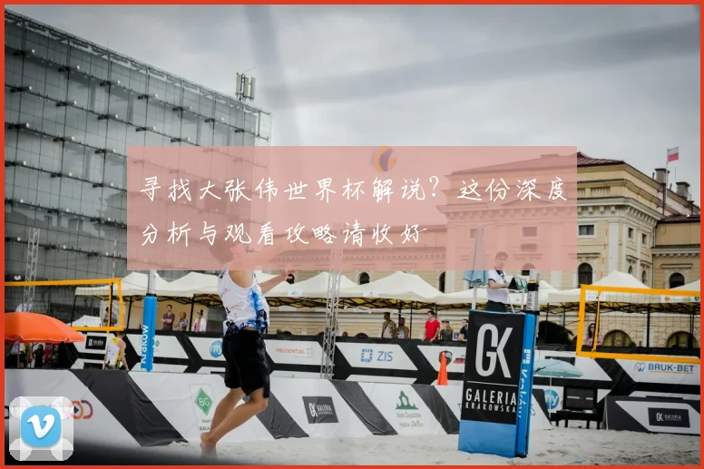 寻找大张伟世界杯解说？这份深度分析与观看攻略请收好