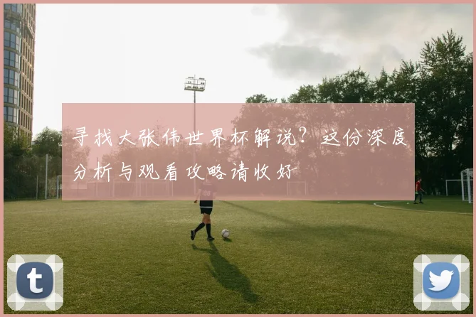 寻找大张伟世界杯解说？这份深度分析与观看攻略请收好