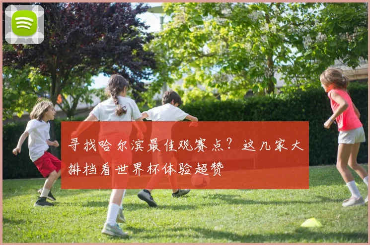 寻找哈尔滨最佳观赛点？这几家大排档看世界杯体验超赞