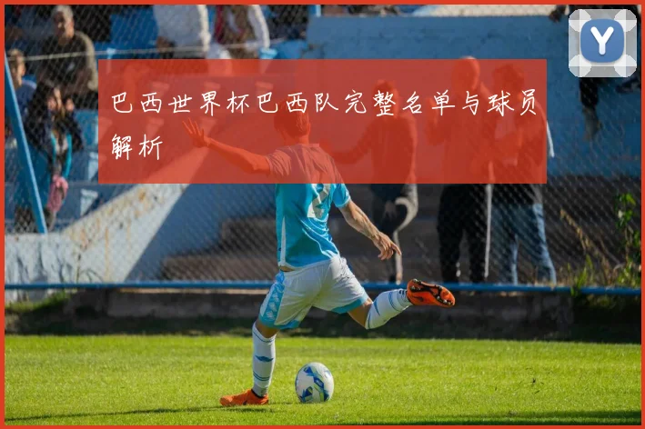 巴西世界杯巴西队完整名单与球员解析
